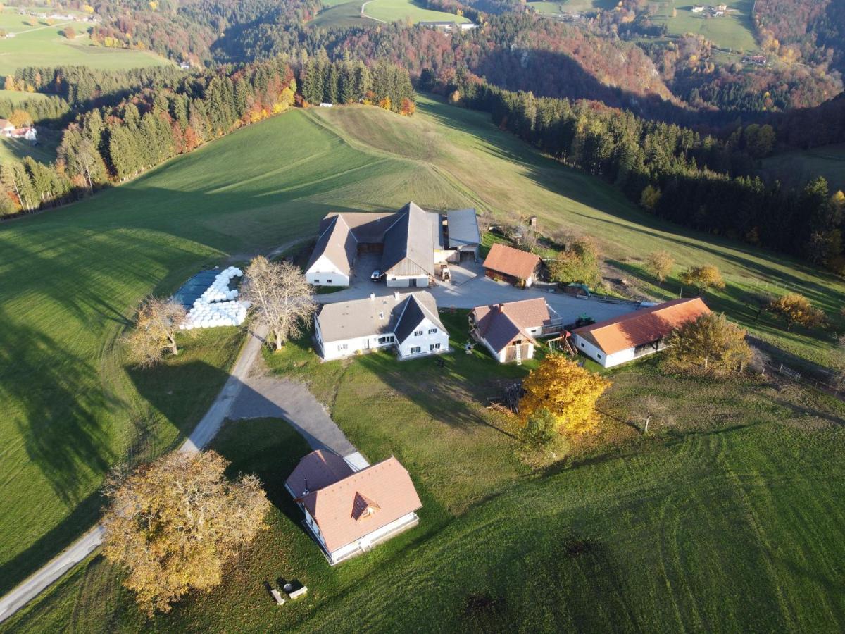Ferienhaus Reisinger Promschhof Semriach 外观 照片