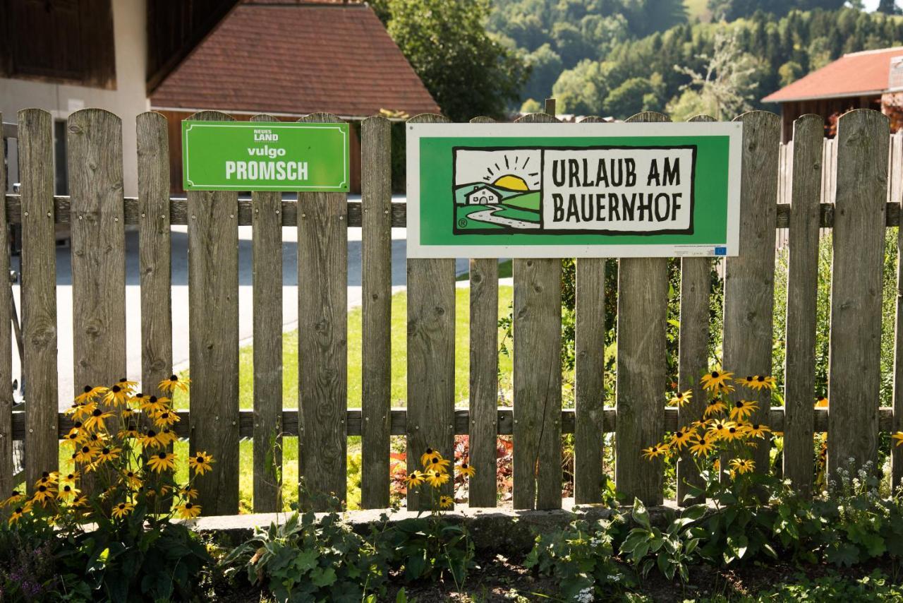 Ferienhaus Reisinger Promschhof Semriach 外观 照片