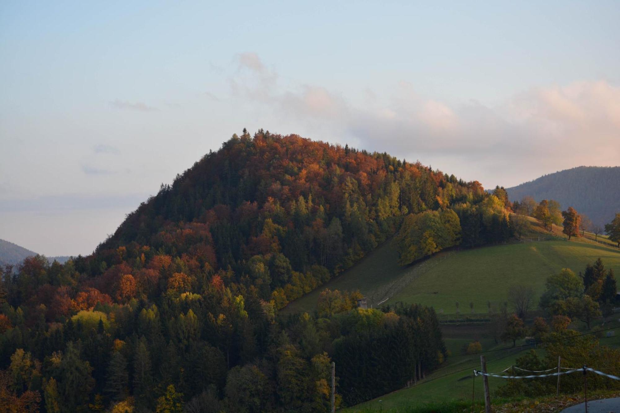 Ferienhaus Reisinger Promschhof Semriach 外观 照片